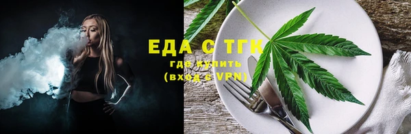 МДПВ Гусев