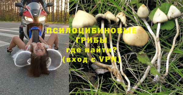 МДПВ Гусев