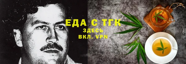 МДПВ Гусев